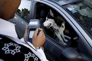 جریمه حمل حیوان در خودرو چقدر است؟