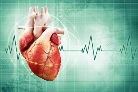 تیروئید سالم می تواند تضمین کننده سلامت قلب باشد