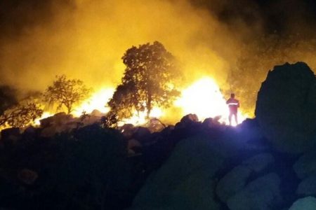 ۱۶۳ هکتار از جنگل‌های کهگیلویه و بویراحمد در آتش سوخت