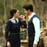 ۱۰ سریال ترکی که عشقشان ایران را فتح کرد