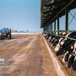 آذربایجان‌ شرقی ظرفیت سرمایه‌گذاری در ایجاد زنجیره ارزش محصولات کشاورزی دارد