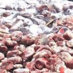 گوشت های فاسد از مغولستان به تهران