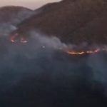 بیش از ۱۰۰ هکتار از جنگل‌های دیزمار در آتش‌سوزی از بین رفت