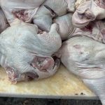 کشف و ضبط بیش از ۱۰ تن گوشت مرغ غیربهداشتی و پلمپ واحد متخلف در آذربایجان شرقی